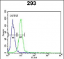 RPL18A Antibody (C-term)
